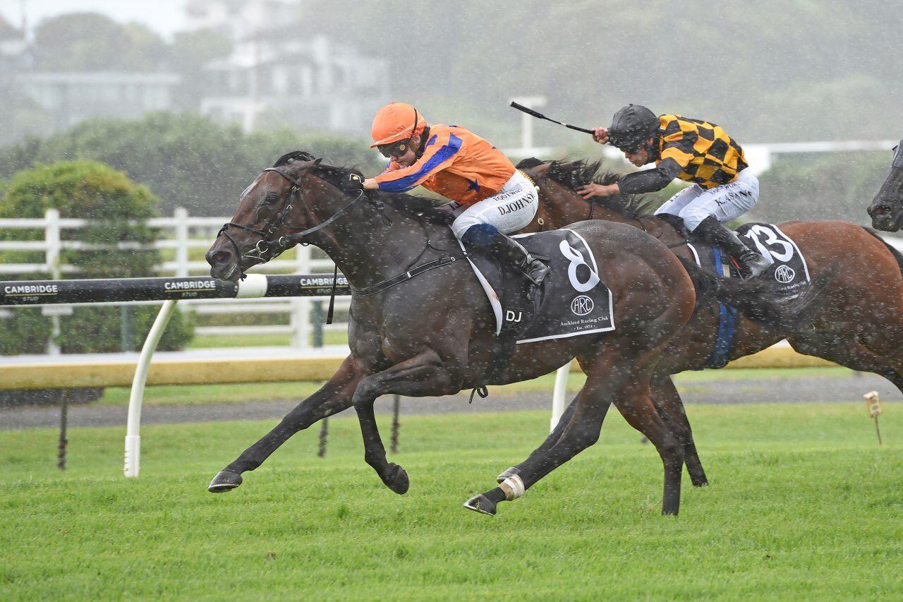 Racing Entriviere S Racetrack Deeds Give Hawke S Bay Couple A Huge Buzz Nz Herald