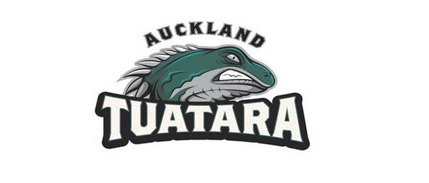 The official logo.