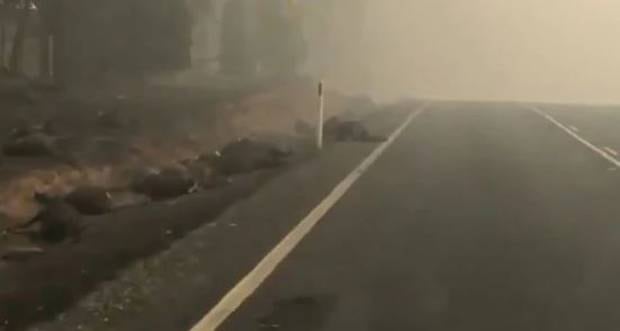 Australian Bushfires Horror Vision Of The Drive Into Batlow In