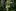 Graeme Atkins, guarda florestal do Departamento de Conservação da Costa Leste, fotografado em casa perto de Ruatoria no mato que ele plantou ao redor de sua casa.  Foto / Alan Gibson