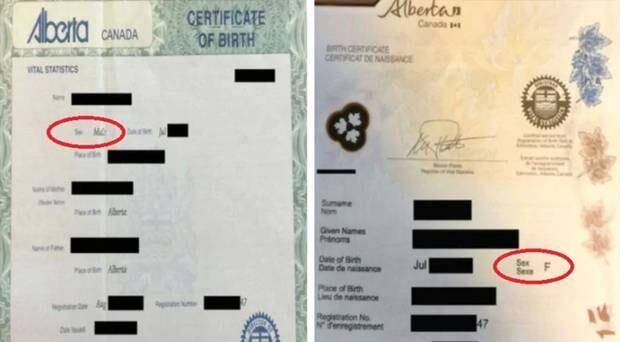 Getting Screwed Over Man Changes Gender On Id To Get Cheaper Car