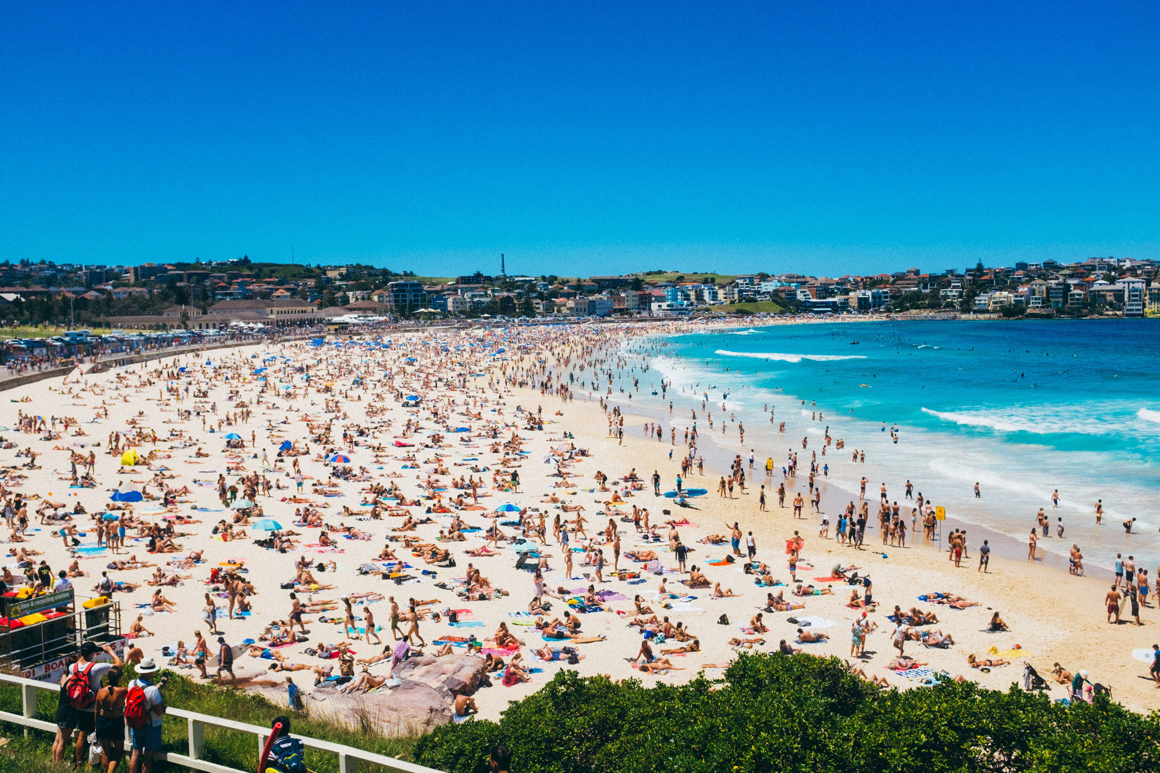 Coed Nude Beach Babes - Iconic Sydney beach to become a nude beach for the first time in history -  NZ Herald