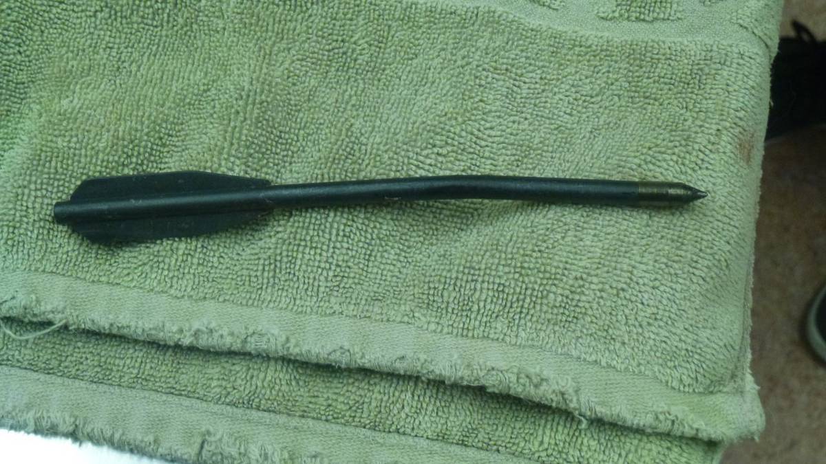 Cat Dies After Being Shot Through Head With Crossbow Arrow In