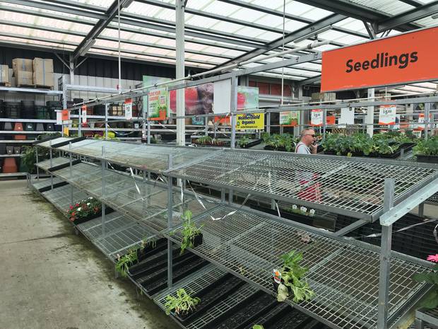 Coronavirus Garden Centres And Nurseries Raided By Kiwis Turning