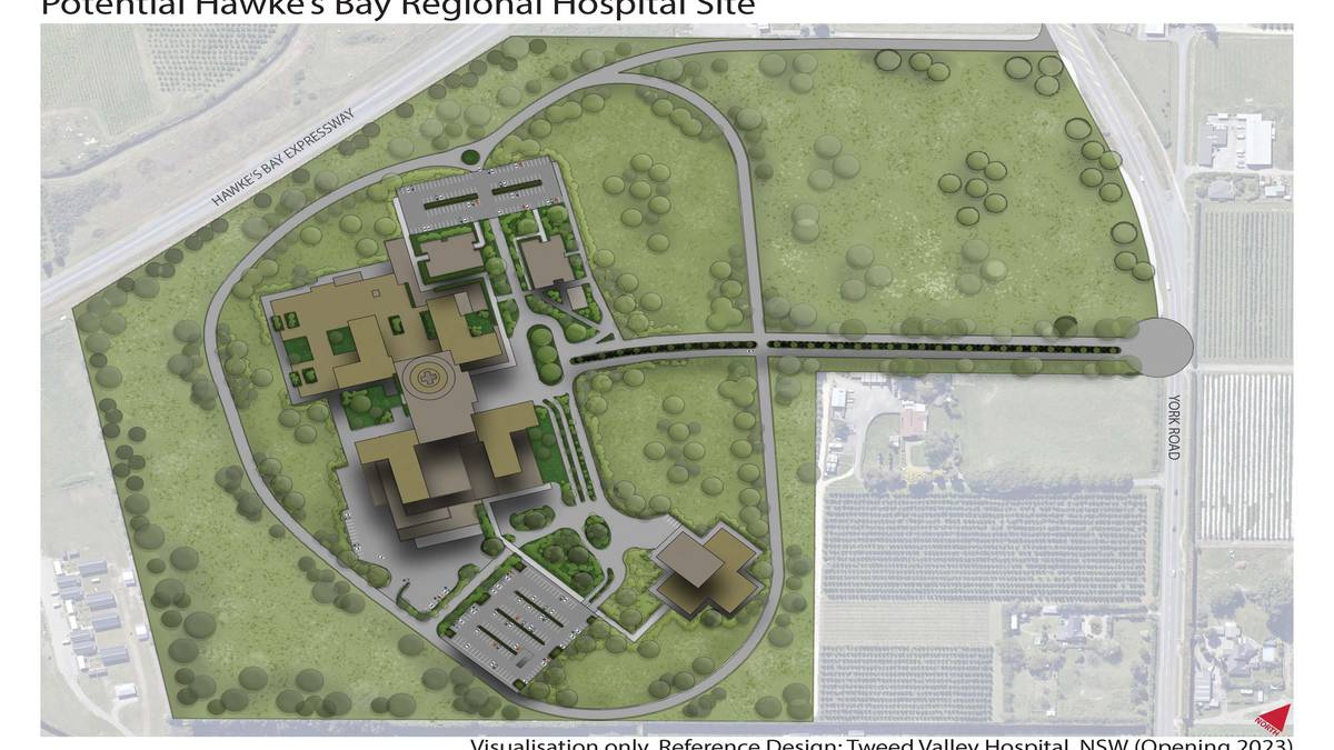 Plans for possible new Hawke’s Bay Hospital being developed without Napier’s input – mayor
