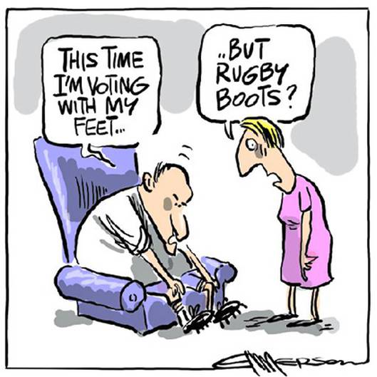 Election Cartoons Nz Herald