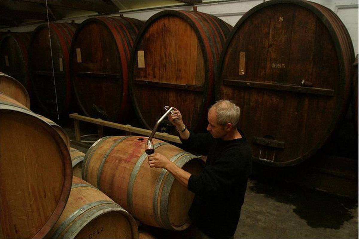 Celebrating 40 Years Of Making Wine Nz Herald