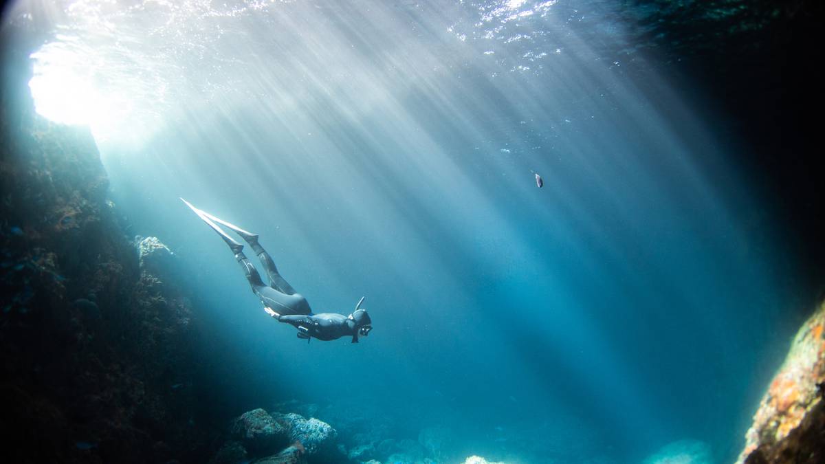 Situs menyelam dan snorkelling terbaik di Selandia Baru untuk eksplorasi bawah laut