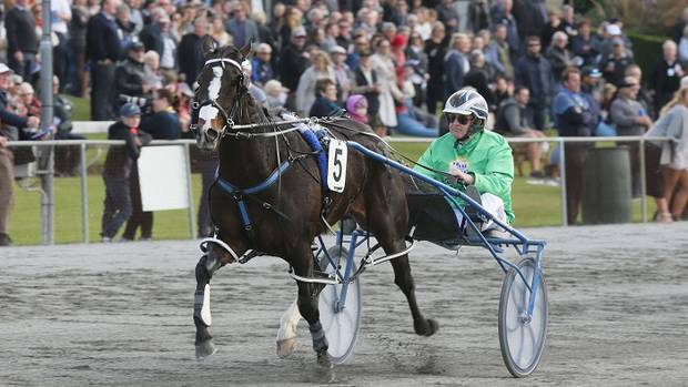 Shez All Rock brilliantly won the 3YO Diamond yesterday. Photo / Trish Dunell