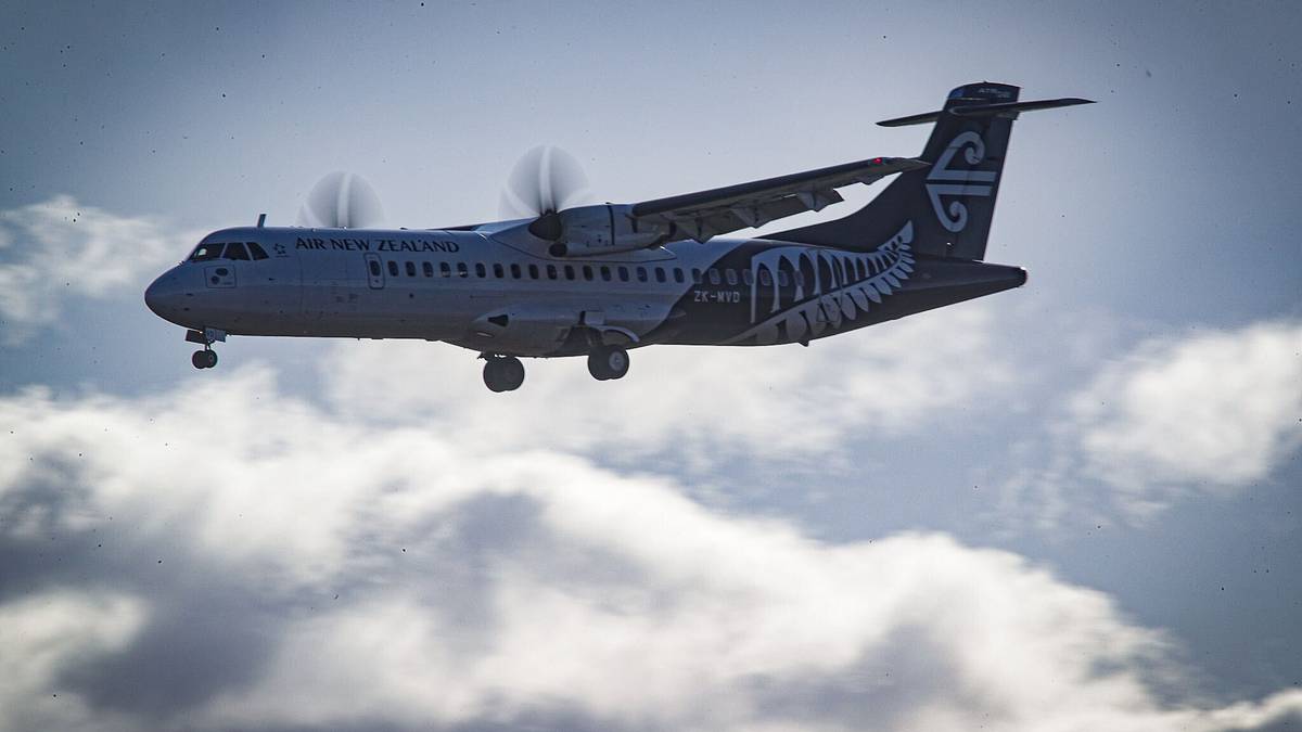 Six hundred dollars to fly to Auckland and back: Napier candidate fires shot at Air NZ over last-minute flights