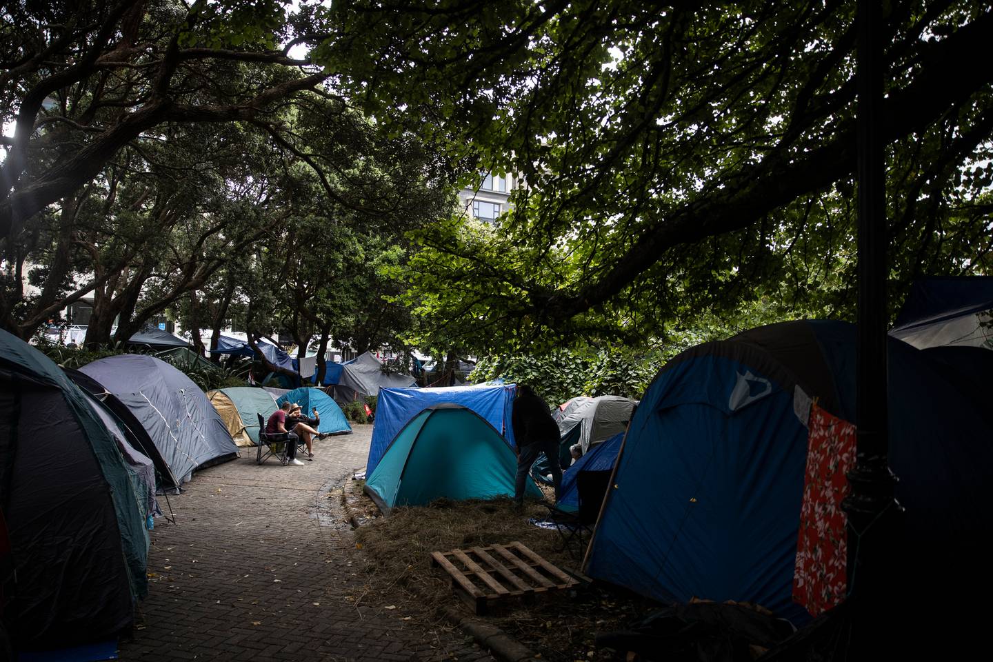 The campsite is well-established as the protest enters Day 9. Photo / George Heard