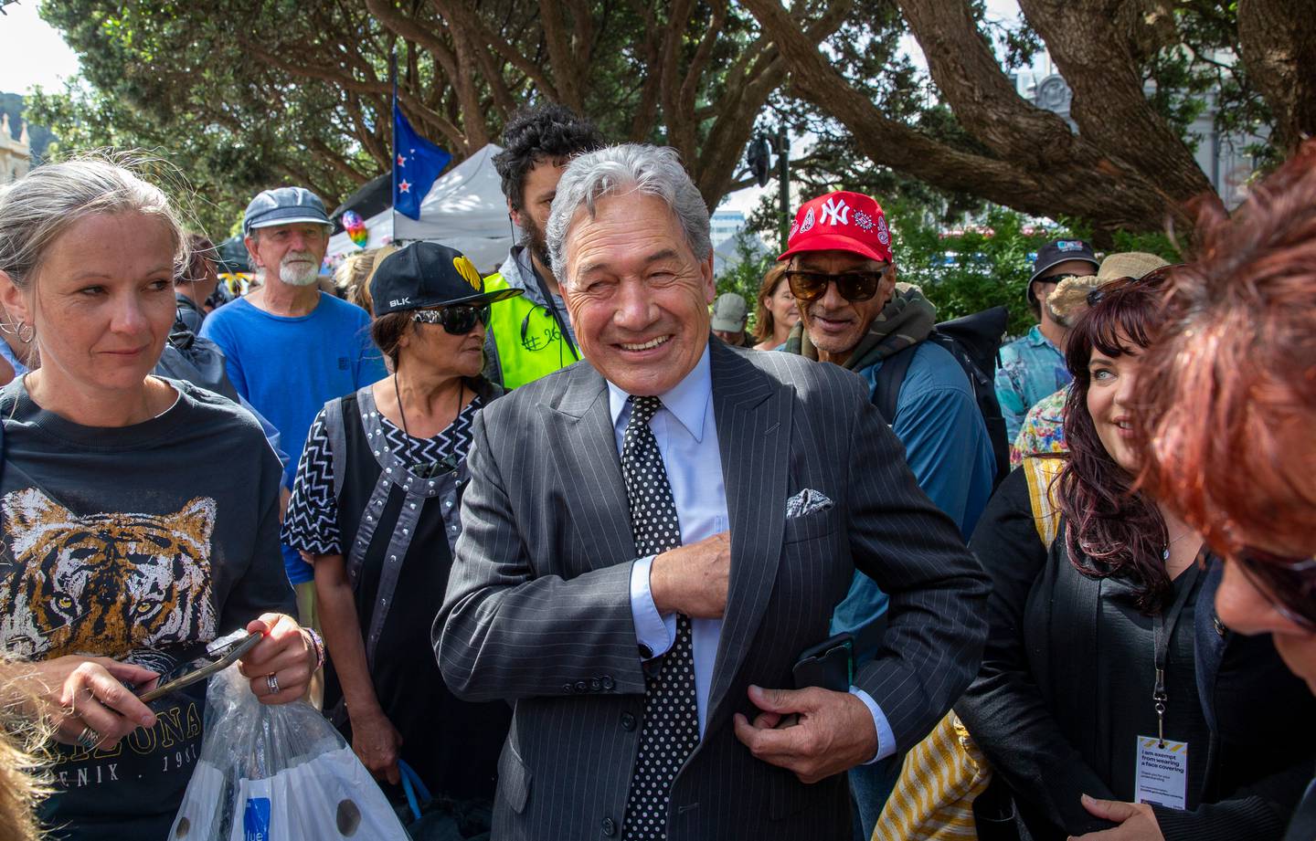抗议者中的新西兰优先党领袖温斯顿·彼得斯。 照片/马克米切尔