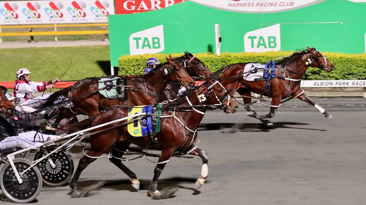 Racing: Long odds amazing as Amazing Dream wins A$250,000 Rising Sun at  Albion Park in Brisbane - NZ Herald