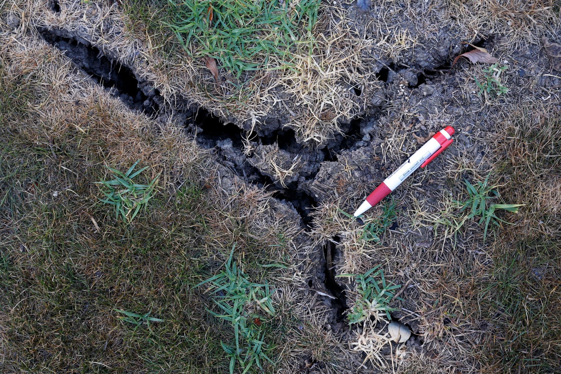 Hot summer dries out ground in parts of Northland - NZ Herald