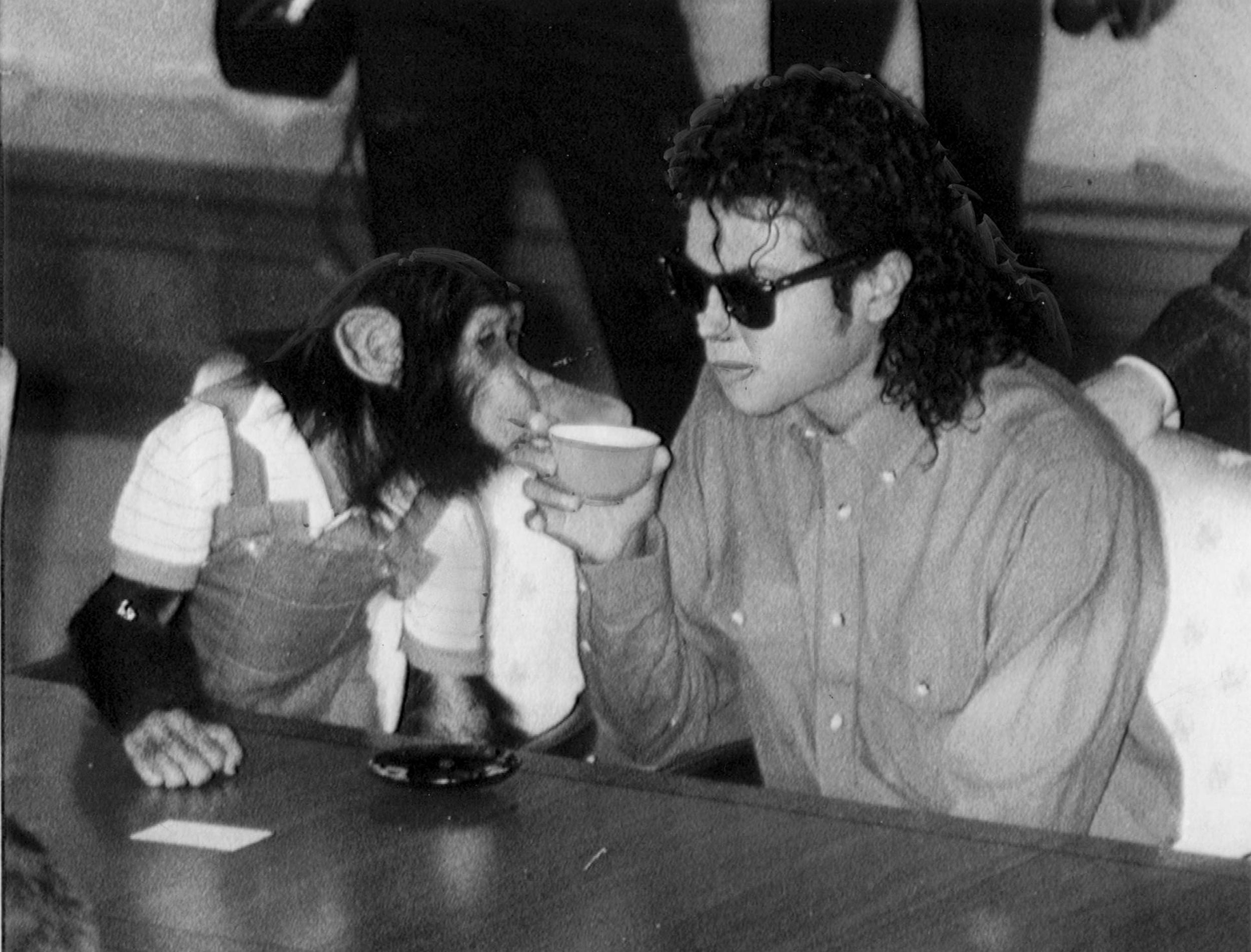 What happened to Michael Jackson's pet chimpanzee Bubbles? - NZ Herald