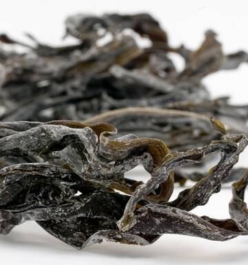 Invasive Seaweed Undaria Could Be New Zealand S Next Big Export Nz Herald