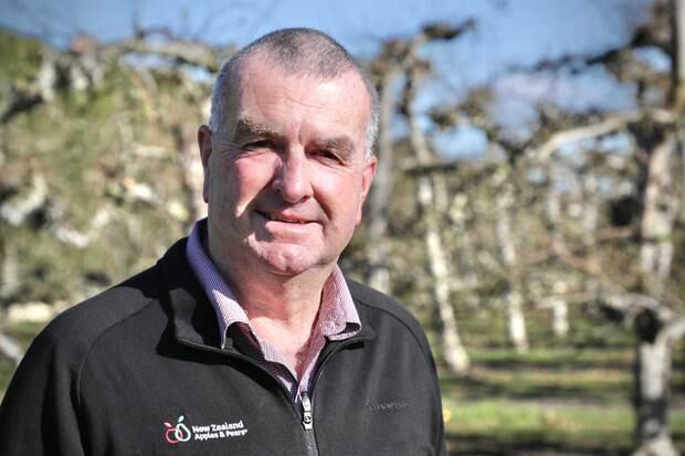 Alan Pollard wants the government to help the horticulture and viticulture industries get their crop picked this season. Photo / Warren Buckland