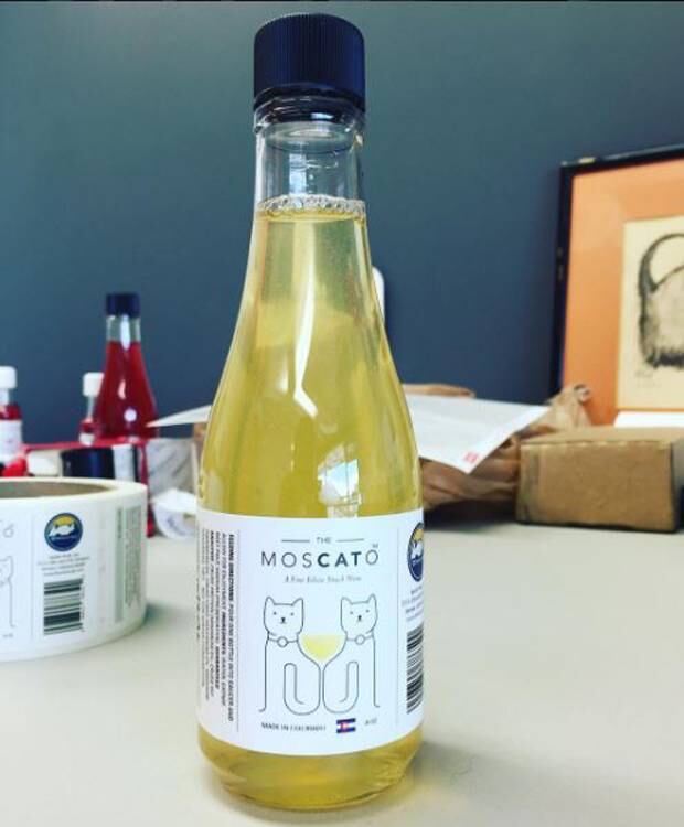 Wine For Cats Means You Don T Have To Drink Alone Nz Herald
