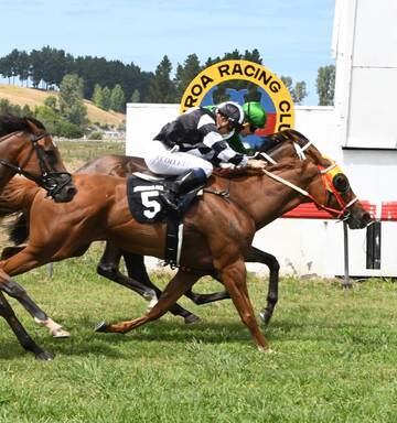 Racing One Hastings Trained Winner At Wairoa Nz Herald
