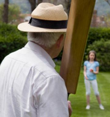Backyard Cricket Survey A Nation Divided Nz Herald