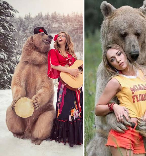 Fancy bears: Russia's animal cruelty problem and the sexy bears of  instagram - NZ Herald