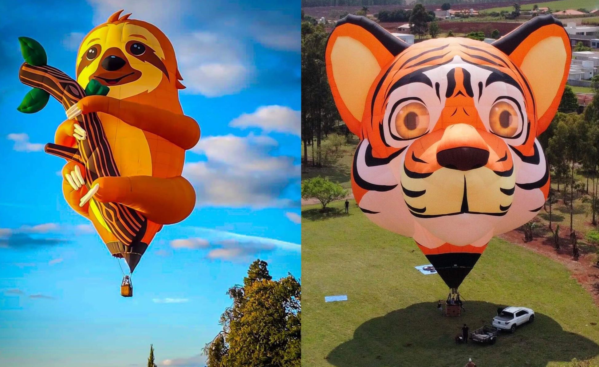 Tiger hot air balloon 2025