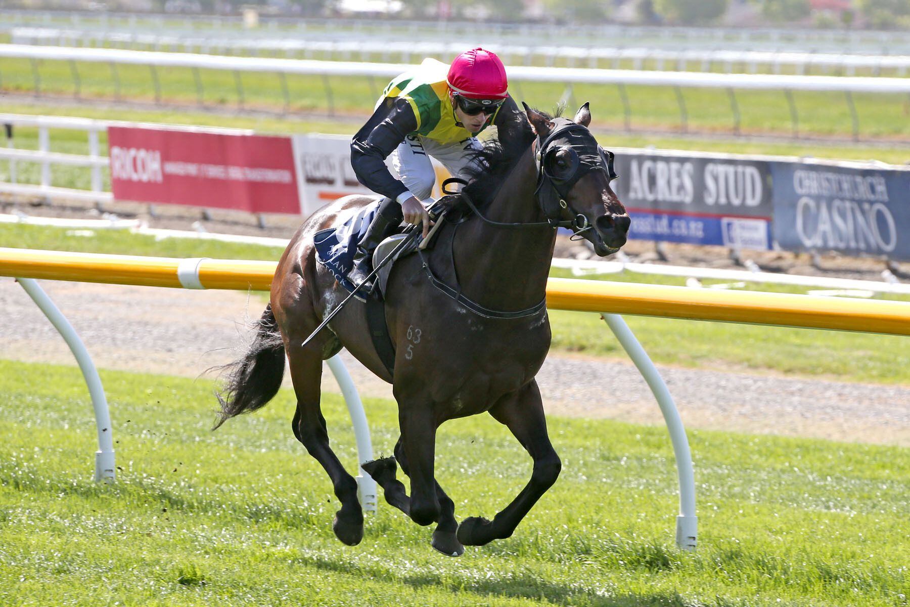 Racing Matamata Girls In Top Draw For Glamour Day At Randwick Nz Herald
