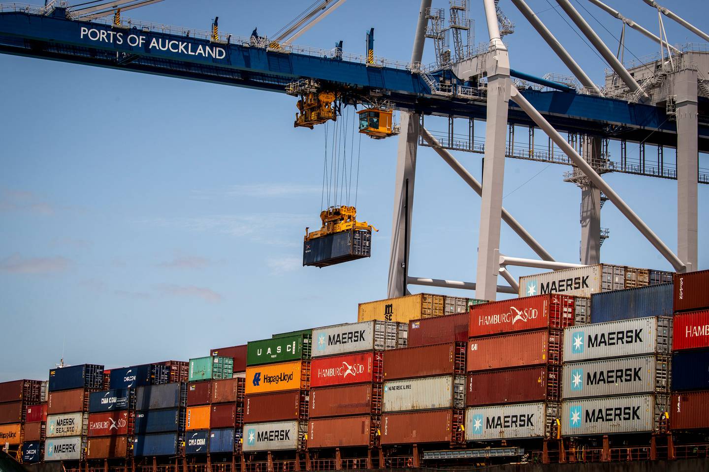 Shipping delays could impact on Scales' earnings voer 2021. Photo / NZ Herald 