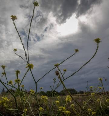 Weather Thunderstorms And Heavy Rain Warnings In Central New