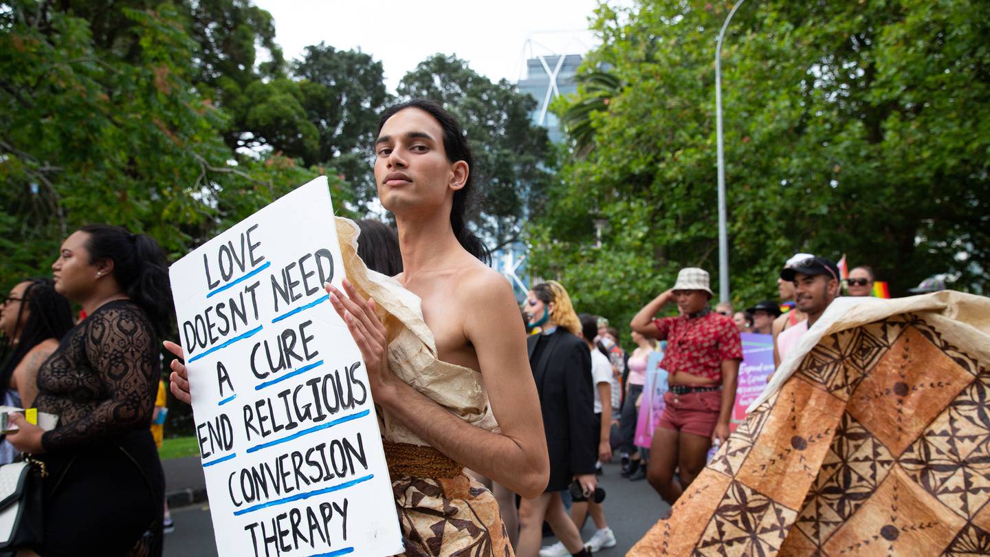 Shaneel Lal at last year's Auckland Pride March and Party Festival. Photo /  Sylvie Whinray  