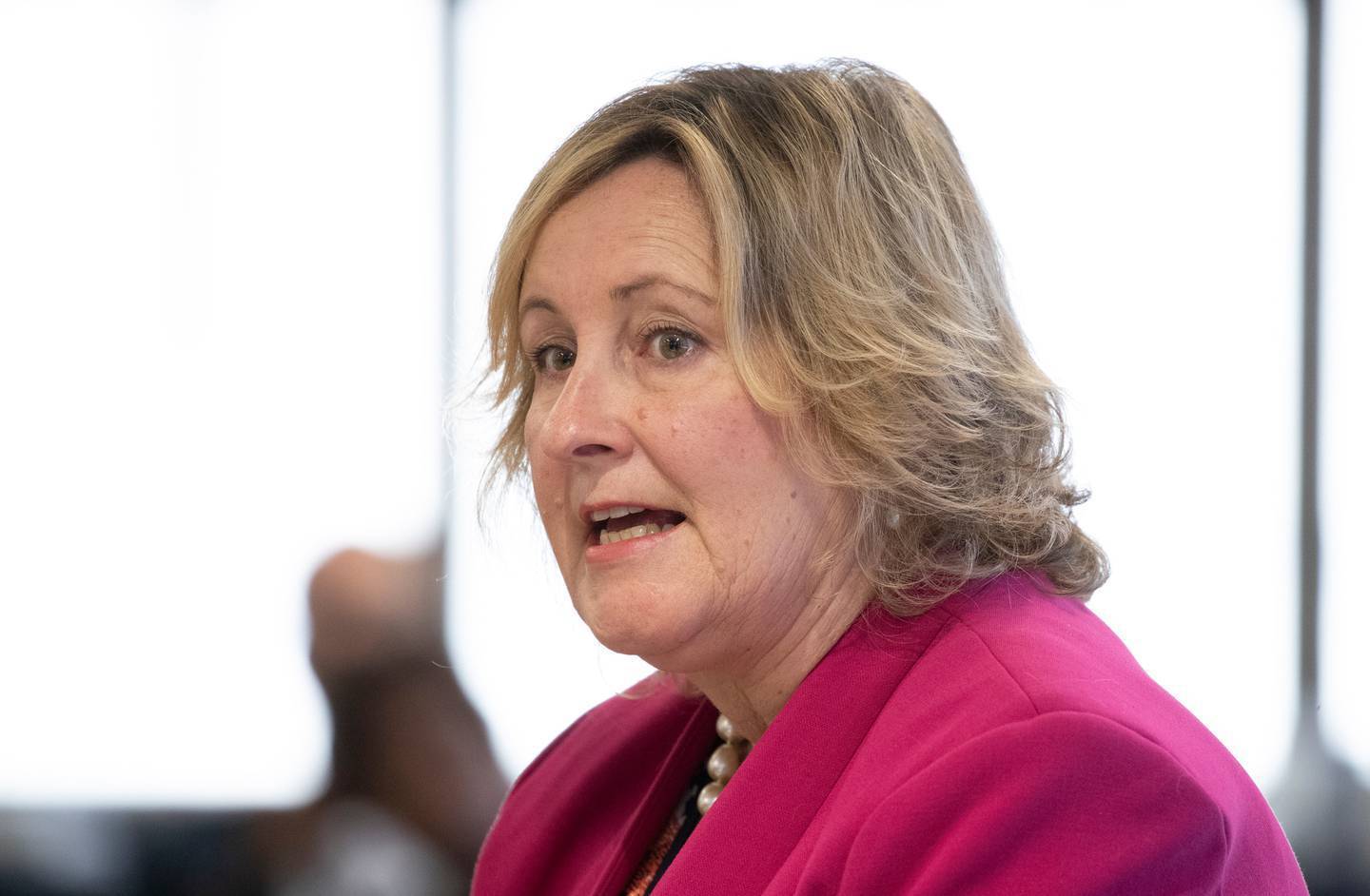 惠灵顿市议员黛安·卡尔弗特 (Diane Calvert) 表示，感觉民选议员必须拿着“乞讨碗”才能获得有关 LGWM 表现的信息。 照片/马克·米切尔