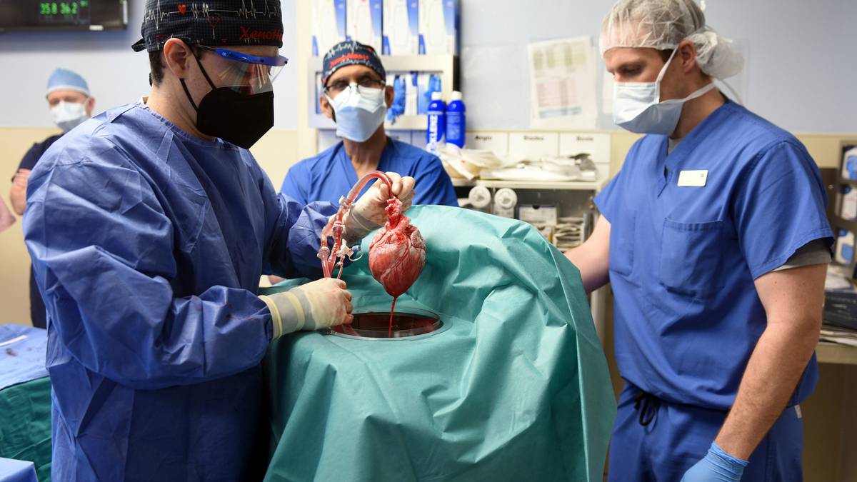 Pasien transplantasi jantung babi sebelumnya dipenjara karena menikam pria