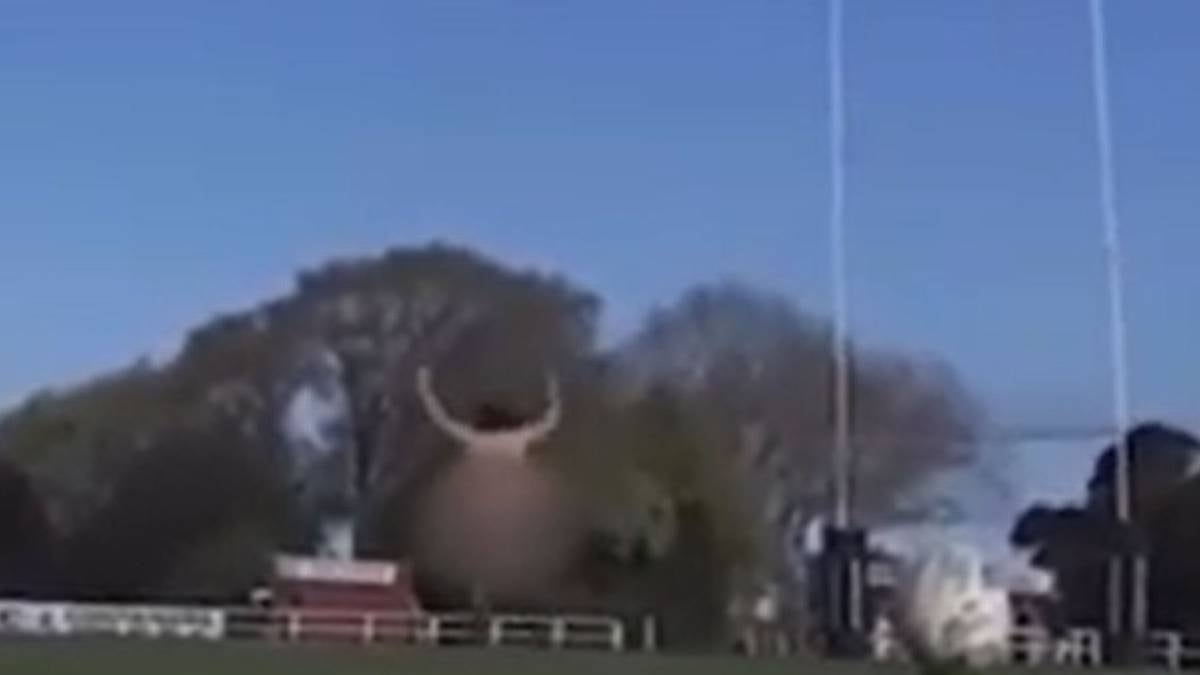 Photo of Rugby: Ablenkender Flitzer stoppt Umwandlungsversuch in North Otago gegen Horowhenua Kapiti nicht