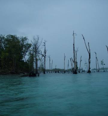 Sinking Islands Caused By Sea Level Rise Not Climate Change