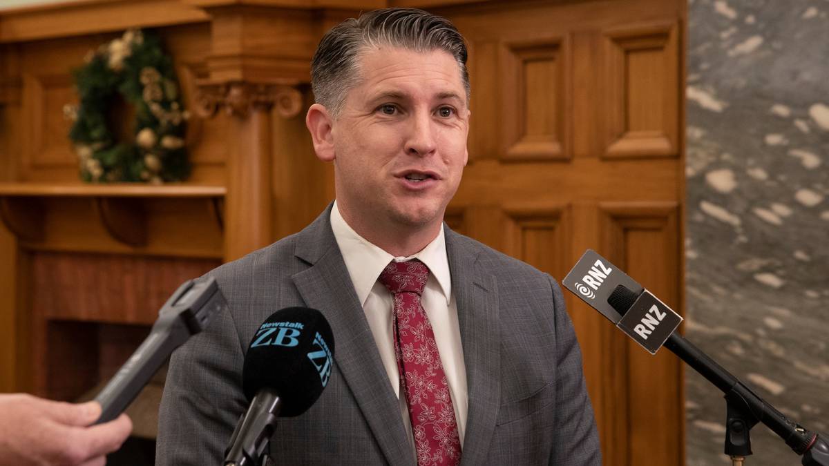 Wykres czystego samochodu: sekretarz ds. transportu NZTA Michael Wood obwinia dealerów za wykorzystywanie niewiarygodnych danych