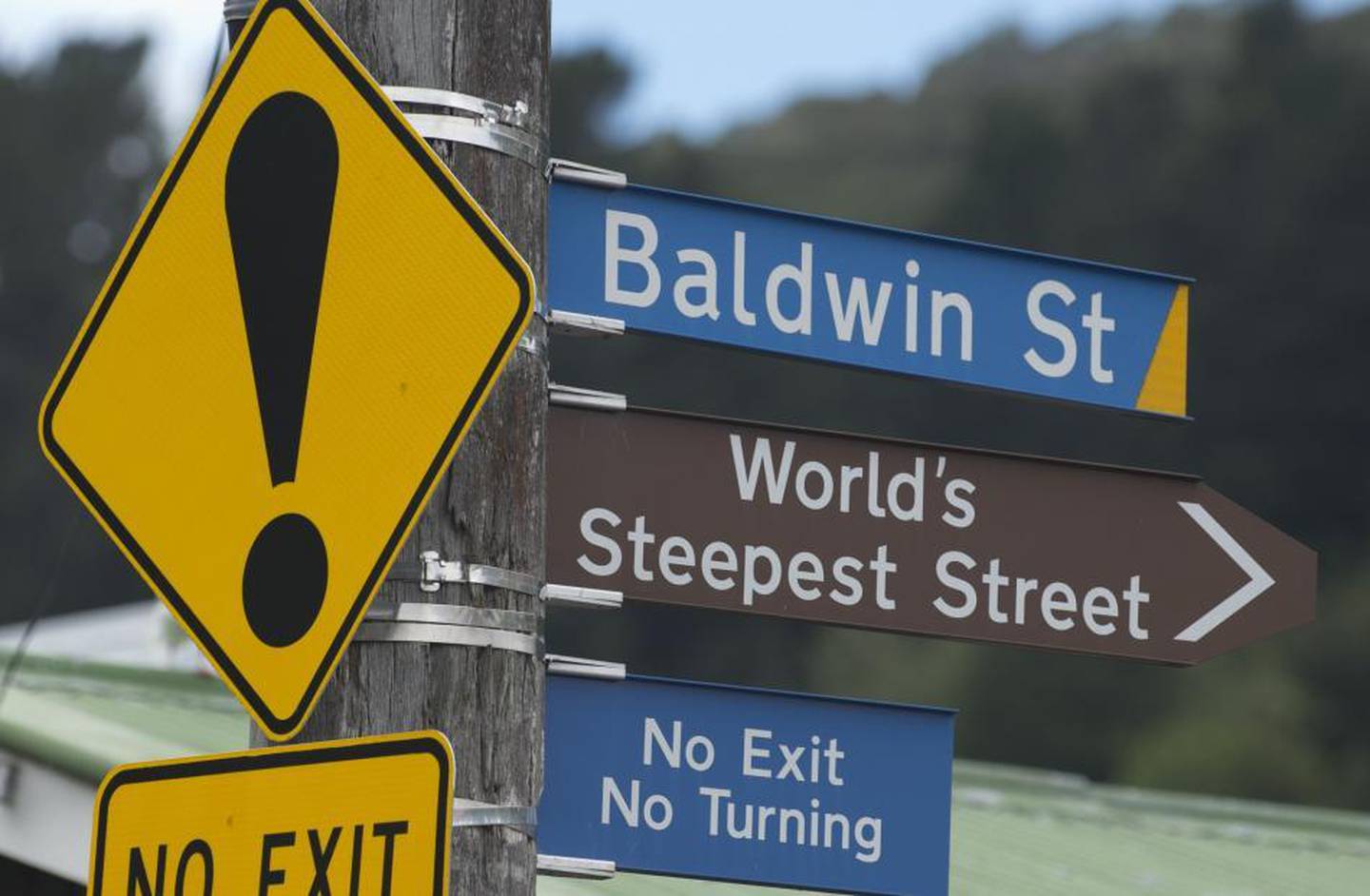 The street reclaimed its title as world's steepest in April 2019. Photo / Otago Daily Times 