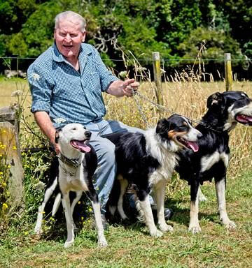 Dog Trainer You Can Always Teach A Dog New Tricks Nz Herald