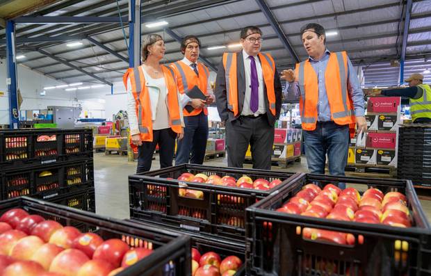 Labour candidate for Tukituki Anna Lorck, left, Napier MP Stuart Nash and Finance Minister Grant Robertson tour a packhouse with Yummy Fruit Company general manager Paul Paynter. Photo / Supplied