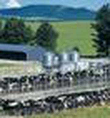 Depreciation Changes Require Fresh Thinking Nz Herald