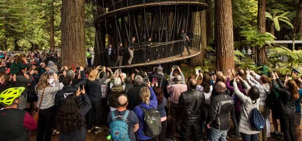Royal Tour 2018 The Duke and Duchess of Sussex start the climb at the Treewalk in the Redwoods. Photo/Stephen Parker