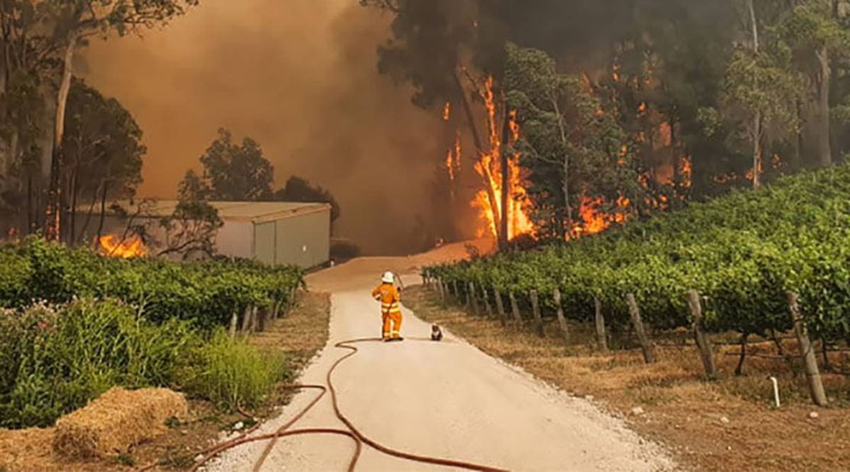 Australian bushfires Horror day as fires ravage NSW and