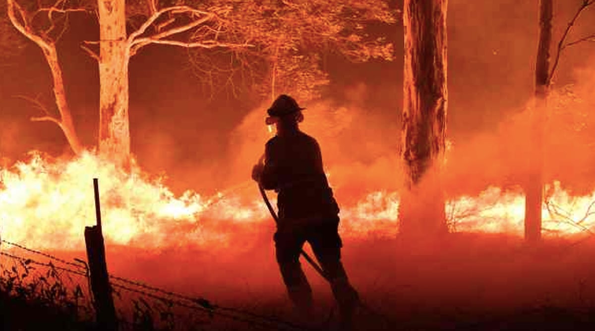 Australian bushfires: Death toll rises in NSW - NZ Herald