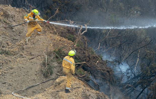 Rural firefighter Dave Houston manning a pump on the fringes of the Tasman bush fires at Teapot Valley near Nelson. Photo / Mark Mitchell