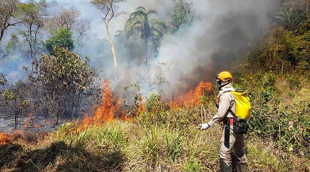 Brazilian firefighters tackle wildfires in the Amazon rainforest in Brazil. Photo / Corpo de Bombeiros de Mato Grosso