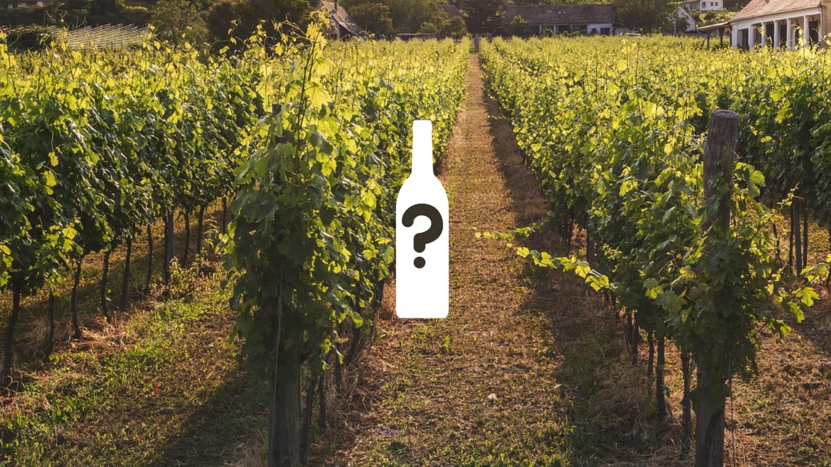 Craggy Range nombrado uno de los 50 mejores viñedos del mundo para 2022