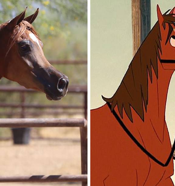 The horses bred to have cartoon-like faces - NZ Herald