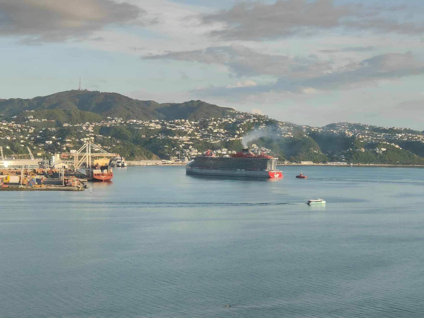 Resilient Lady sails into Wellington.