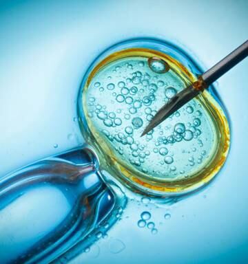 Study Reveals Major Variations In The Way Nz Fertility