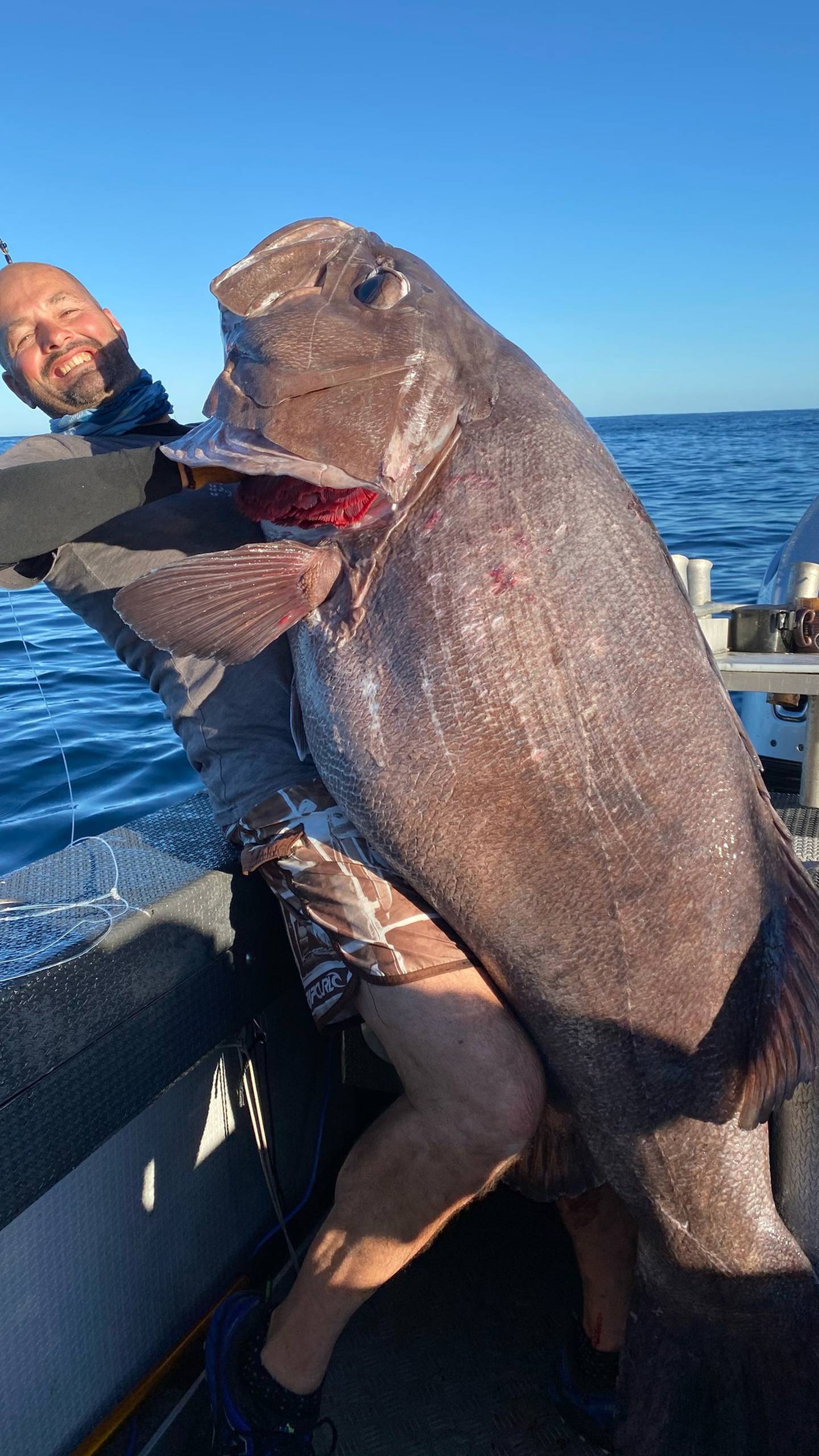 Massive bass fish caught off Hicks Bay, East Cape