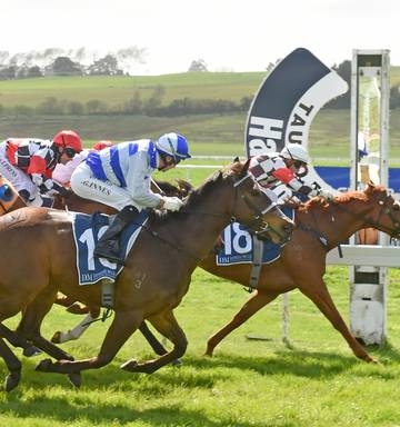 Group 1 Racing Returns To Hastings On Sunday Nz Herald